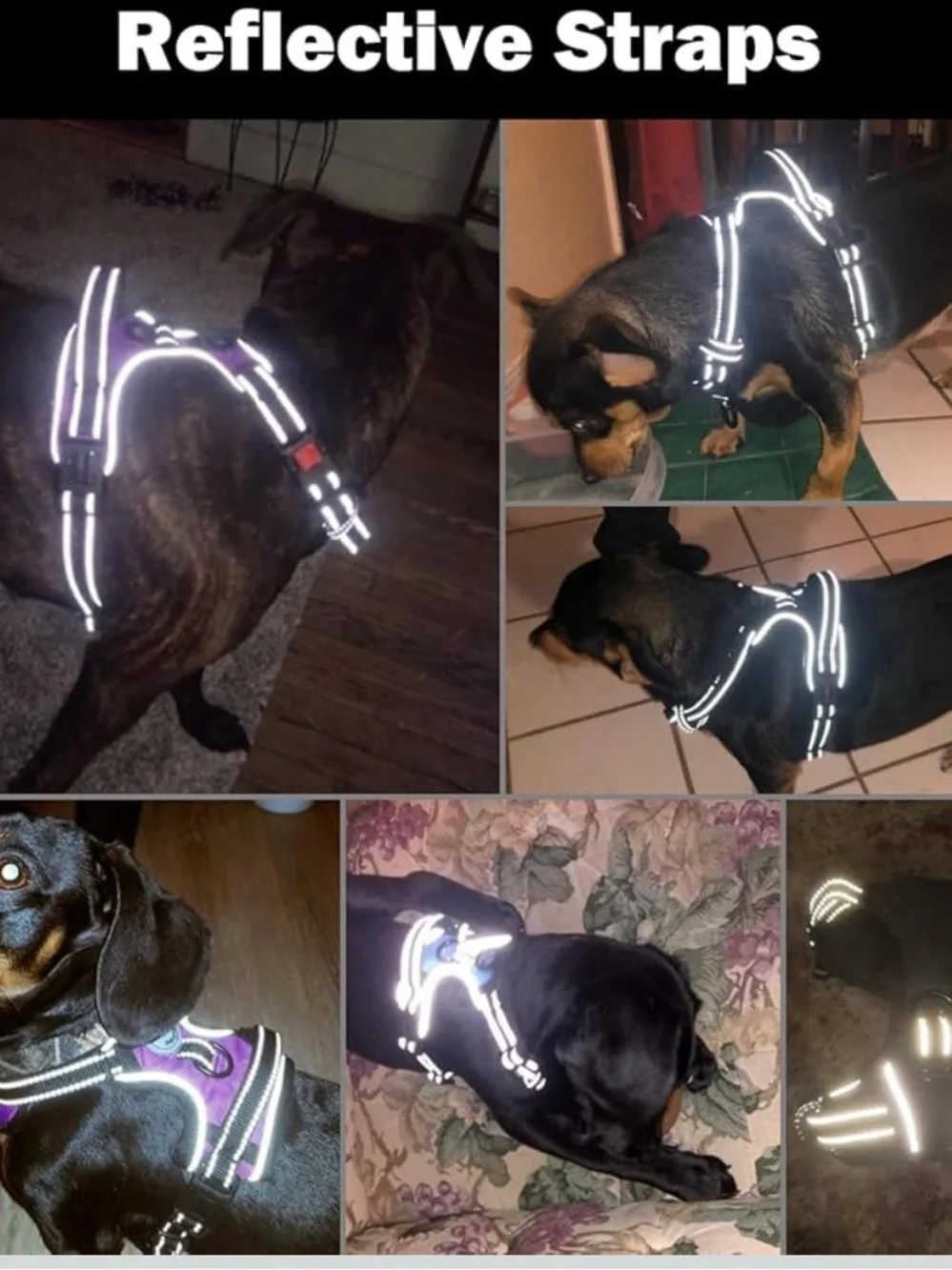 XL Reflective No-Pull Dog Harness with Handle — Black